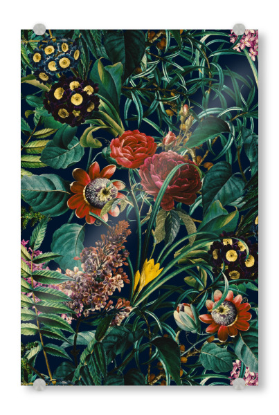 Acrylglasbild "Nachtdschungel" artboxONE - Natur,Floral,Tiere
