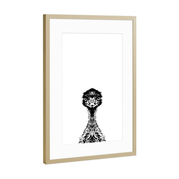 Poster mit Rahmen Gold "Emu frontal" artboxONE - Tiere,Schwarzweiß,Lustig