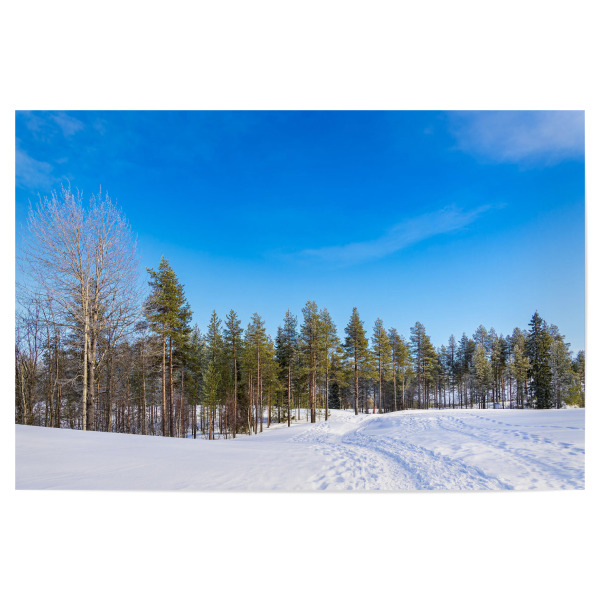 Poster 30x20 cm "Piste, Schnee, Wald, Wolken" artboxONE - Natur,Reise,Reise / Länder