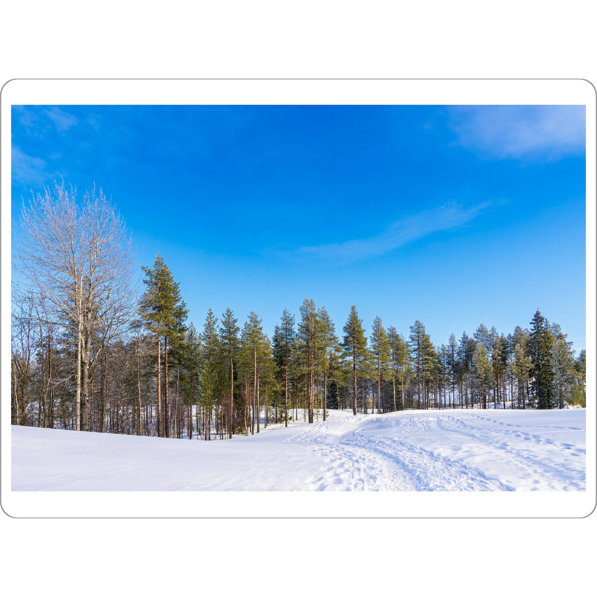 Tischset "Piste, Schnee, Wald, Wolken" artboxONE - Natur,Reise,Reise / Länder