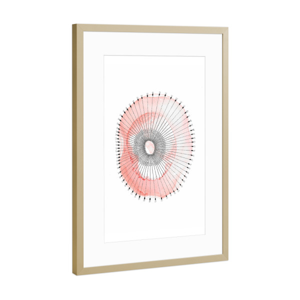 Poster mit Rahmen Gold "Katherine Heald - Coral Duo" artboxONE - Natur,Abstrakt,Unterwasser