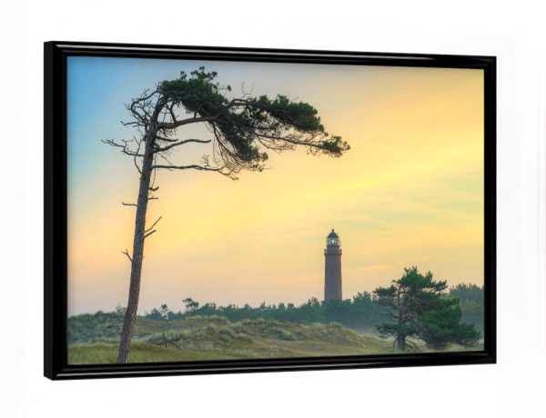 Poster mit schwarzem Rahmen "Windflüchter an der Ostseeküste" artboxONE - Natur,Reise,Reise / Strand und Meer