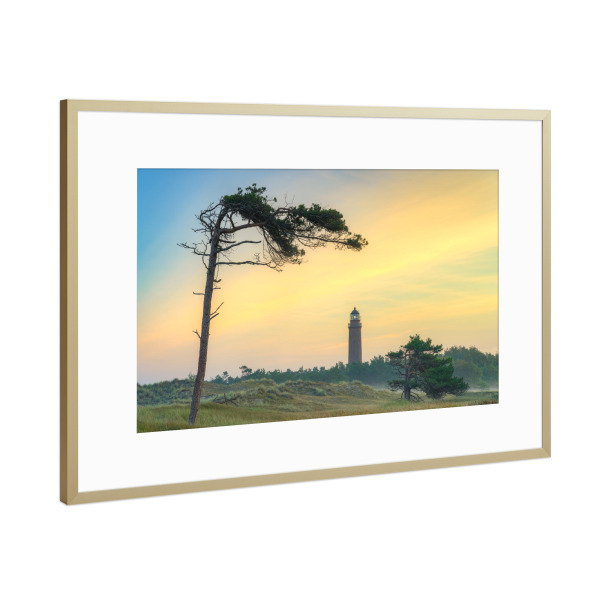 Poster mit Rahmen Gold "Windflüchter an der Ostseeküste" artboxONE - Natur,Reise,Reise / Strand und Meer