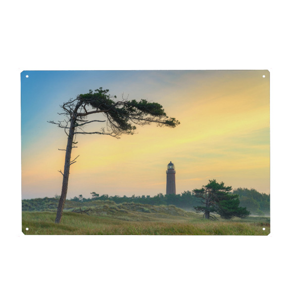 Metall Poster "Windflüchter an der Ostseeküste" artboxONE - Natur,Reise,Reise / Strand und Meer