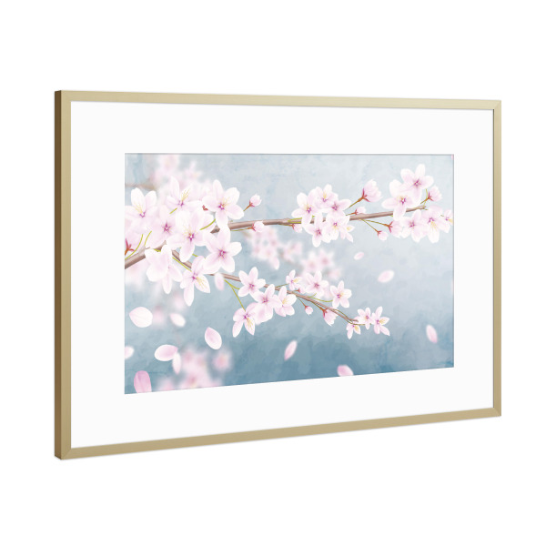 Poster mit Rahmen Gold "Kirschblüten blühen" artboxONE - Natur,Floral - Kirschblüte,Baum,Japan,Natur,Pink,Rosa,Zweig,Blüten,Blühen,Blumen