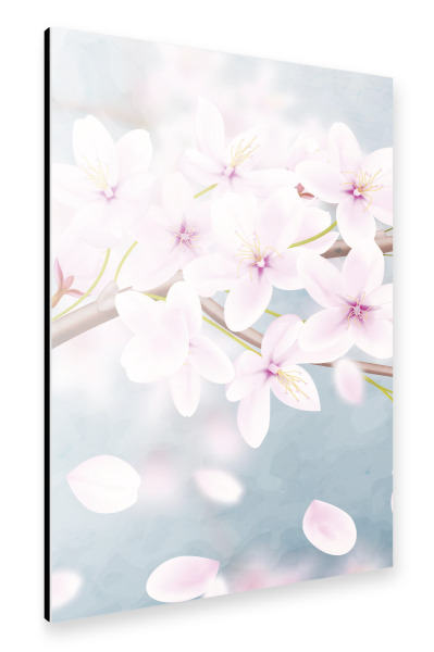 Alu-Dibond "Kirschblüte - erster Teil" 30x20 cm artboxONE