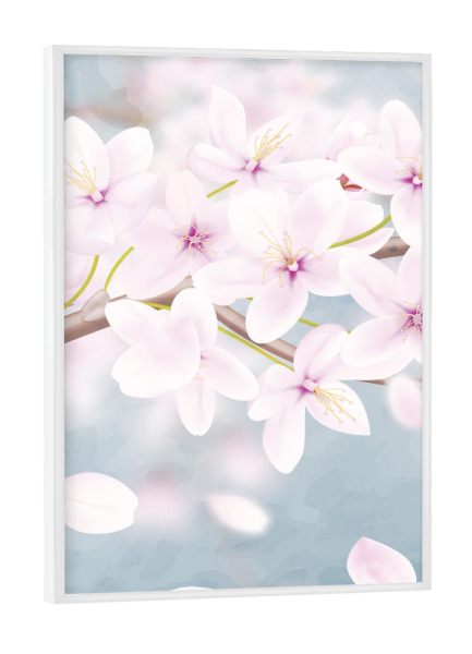 Poster mit weißem Rahmen "Kirschblüte - erster Teil" artboxONE - Natur,Floral
