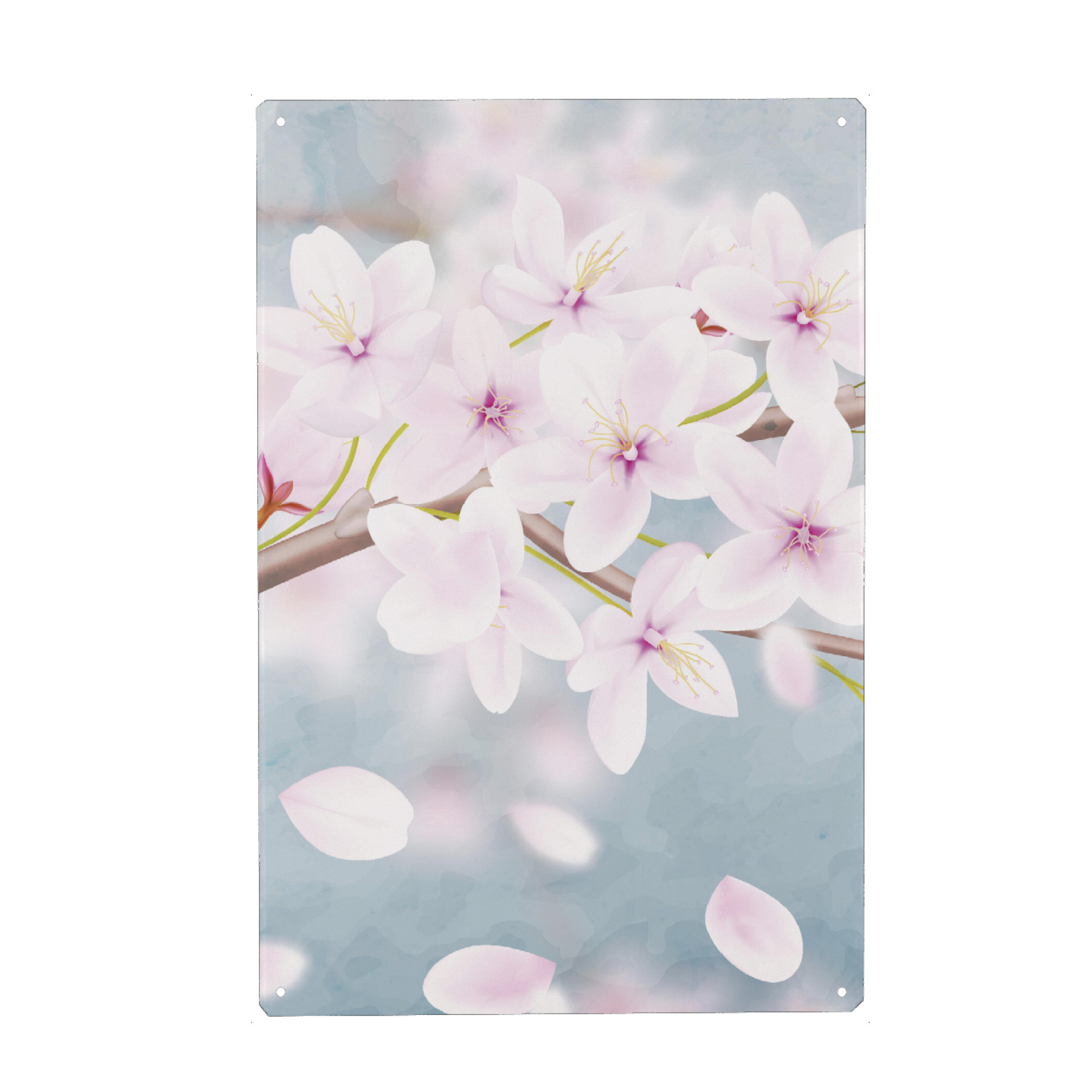 Metall Poster "Kirschblüte - erster Teil" artboxONE - Natur,Floral - Kirschblüten,Blühen,Blumen,Blätter,Floral,Natur,Japan,Pink,Rosa,Pflanze,Baum