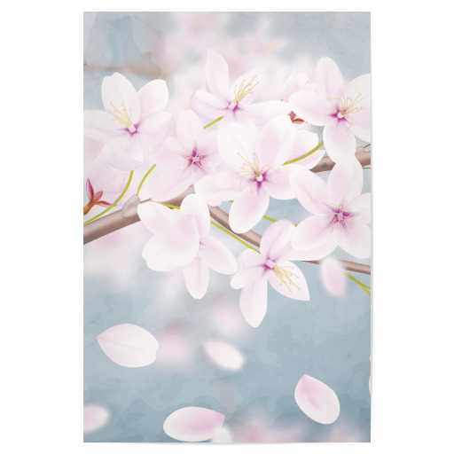 Kirschblüte - erster Teil