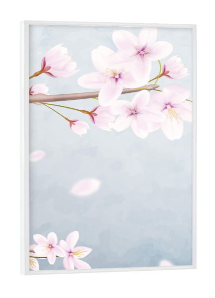 Poster mit weißem Rahmen "Kirschblütte - dritter Teil" artboxONE - Natur,Floral