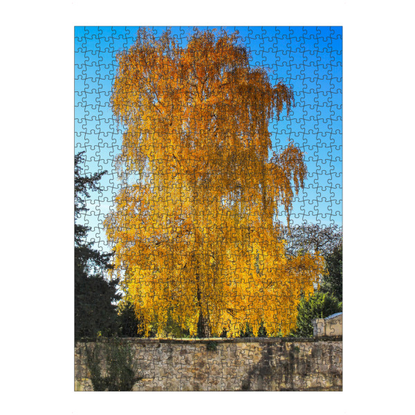 artboxONE Puzzle "Birke im Herbst" artboxONE - Natur - Herbst,Birke,Bunt,Herbstfarben,Herbststimmung,Herbstlich,Herbstlaub - Bild herbst