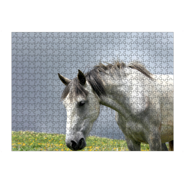 artboxONE Puzzle "Porträt eines weißen Pferdes" artboxONE - Natur,Tiere