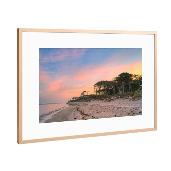 Poster mit Rahmen Kupfer "Darßwald an der Ostsee" artboxONE - Natur,Reise,Reise / Strand und Meer