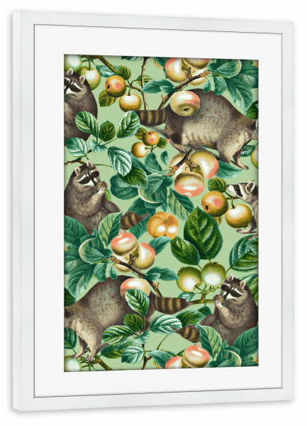 Poster mit Rahmen weiß "Waschbär und Früchte" artboxONE - Natur,Floral,Tiere