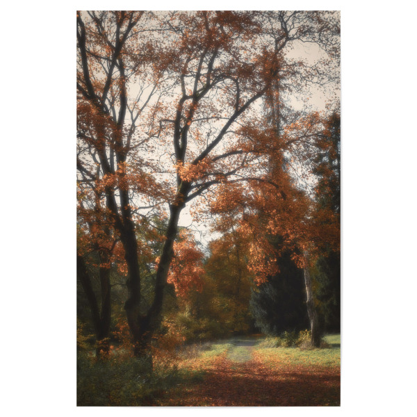 Poster 30x20 cm "Herbst Farben" artboxONE - Natur,Reise,Floral - Natur,Bäume,Park,Weg,Blätter,Laub,Herbststimmung,Herbstfarben,Herbst,Herbstlaub