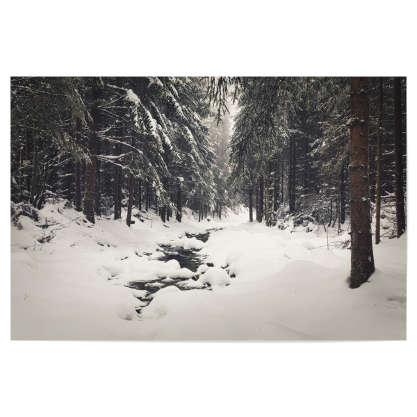 Poster 30x20 cm "Winterwald Impression" artboxONE - Natur,Reise,Floral,Weihnachten