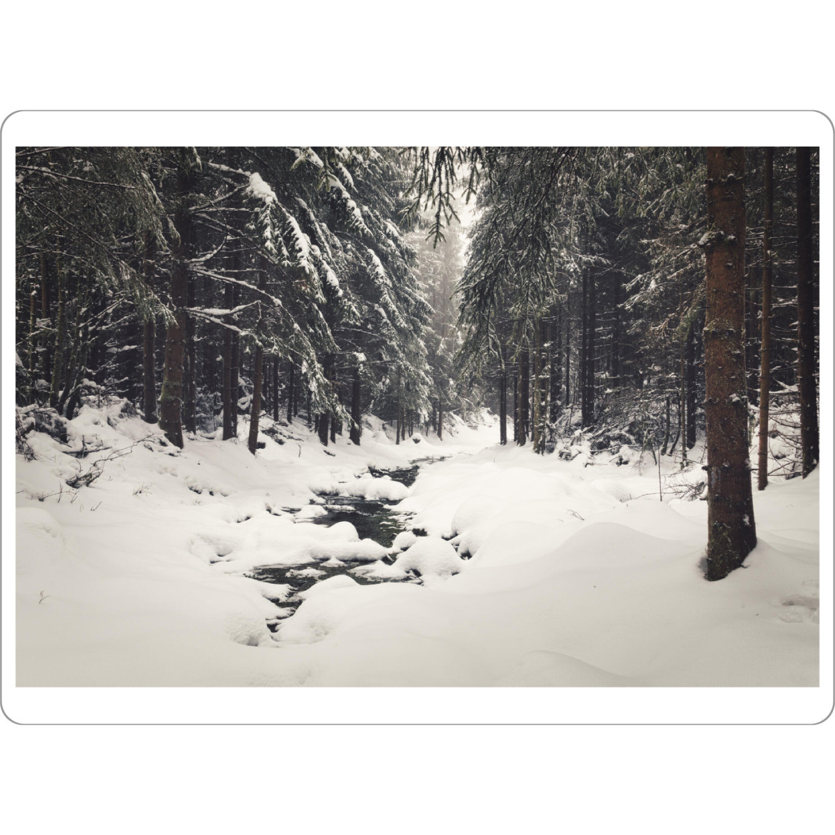 Tischset "Winterwald Impression" artboxONE - Natur,Reise,Floral,Weihnachten