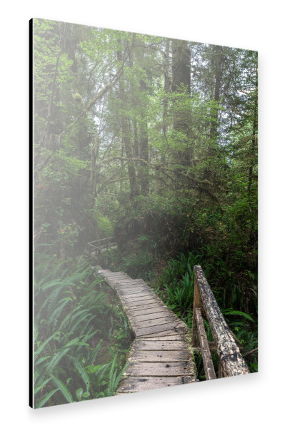 Alu-Dibond "Im Regenwald - Hochformat" 30x20 cm artboxONE