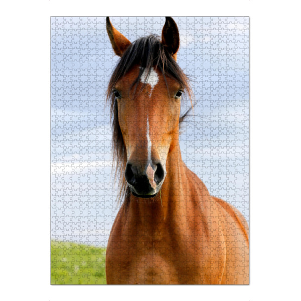 Puzzle Ravensburger "Closeup portrait of brown horse" artboxONE - Natur,Tiere