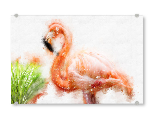 Acrylglasbild "Flamingo mit Schilfgras" artboxONE - Natur,Tiere,Reise / Afrika