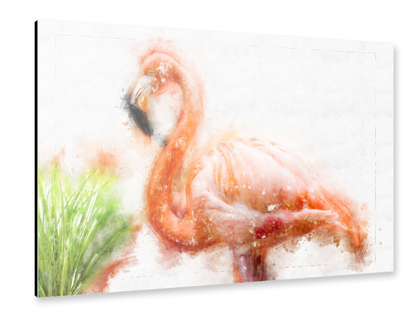 Alu-Dibond "Flamingo mit Schilfgras" 30x20 cm artboxONE