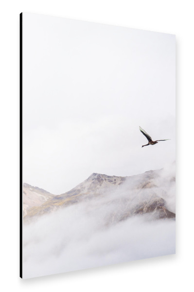 Alu-Dibond "Kranich fliegt über den Bergen" 30x20 cm artboxONE