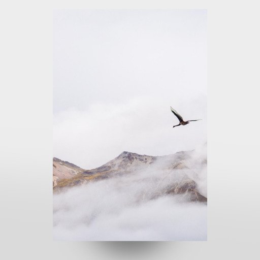 Kranich fliegt über den Bergen