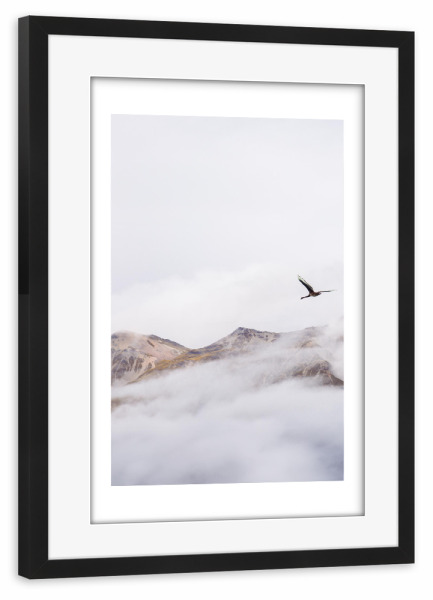 Poster mit Rahmen schwarz "Mystischer Kranich" artboxONE - Natur,Reise,Tiere - Kranich,Fliegen,Wolken,Himmel,Berge,Natur,Bewölkt,Nebelig,Vogel,Tier