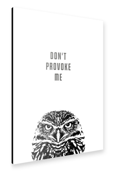 Alu-Dibond "Kauz / Don`t provoke me!" 30x20 cm artboxONE