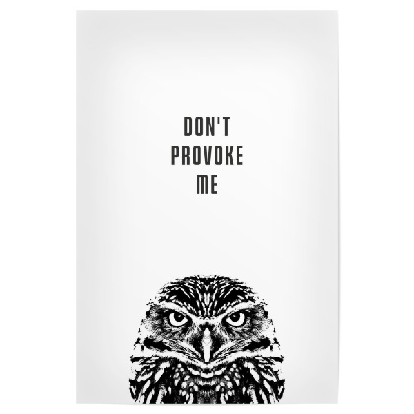 Poster 30x20 cm "Kauz / Don`t provoke me!" artboxONE - Tiere,Schwarzweiß,Lustig