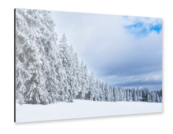 Alu-Dibond "Wald, Schnee, Bäume" 30x20 cm artboxONE