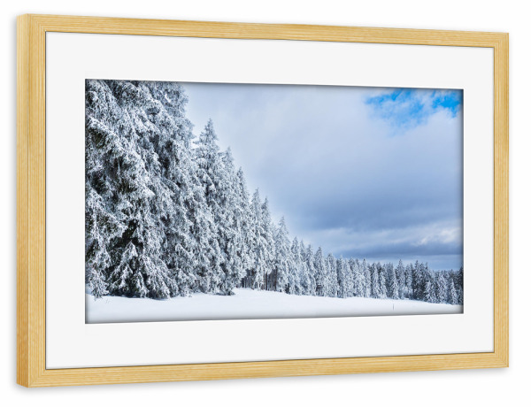 Poster mit Rahmen kiefer "Wald, Schnee, Bäume" artboxONE - Natur,Reise