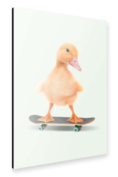 Alu-Dibond "Skateboard Ente" 30x20 cm artboxONE
