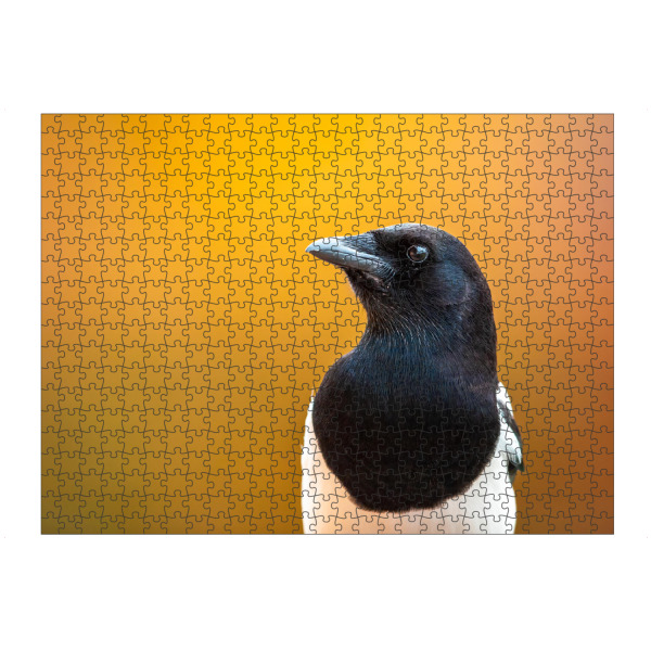 Puzzle Ravensburger "Porträt einer Elster" artboxONE - Tiere - Elster,Vogel,Wildlife,Natur,Garten,Vögel,Gartenvogel,Tiere,Vogelporträt - Bild elster