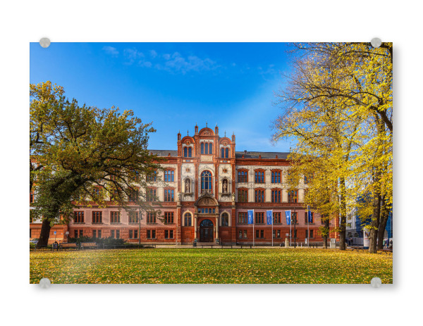 Acrylglasbild "Universität in Rostock im Herbst" artboxONE - Städte,Reise,Architektur