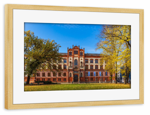 Poster mit Rahmen kiefer "Universität in Rostock im Herbst" artboxONE - Städte,Reise,Architektur