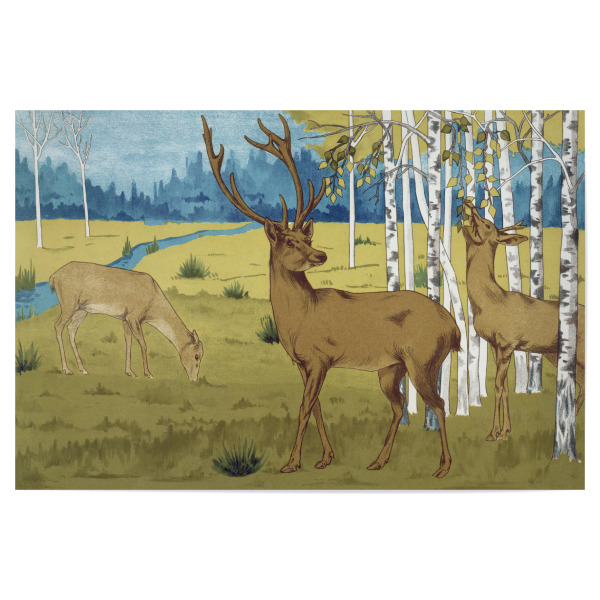 Poster "Hirsche" artboxONE - Natur,Für Kinder,Tiere,Für Mama,Für Papa