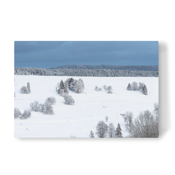 Leinwandbild "Winter, Bäume, Wolken" artboxONE - Natur,Reise
