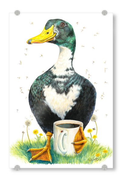 Acrylglasbild "McLove'n Coffee" artboxONE - Tiere,Essen & Trinken,Lustig - Tiere,Vögel,Ente,Herz,Kaffee,Getränk,Humor,Lustig