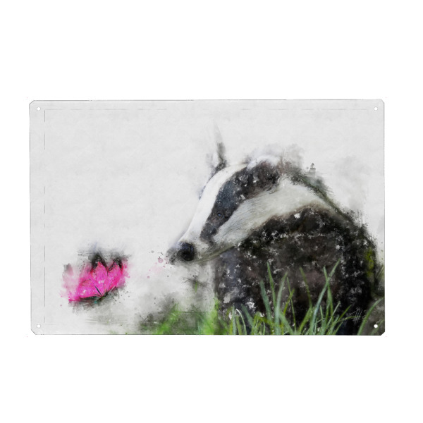 Metall Poster "Dachs und Schmetterling" artboxONE - Natur,Tiere - Tier,Natur,Frei,Tierwelt,Wild,Wildnis,Kreatur,Pelz,Liebe,Afrika,Europa,Wald,Vogel