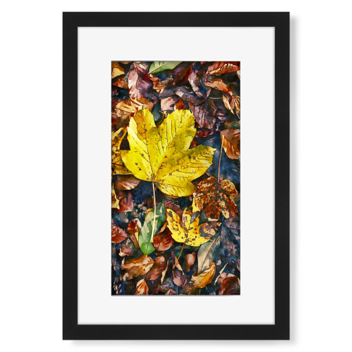 Colorful autumn