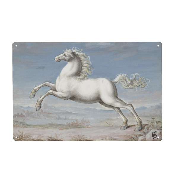Metall Poster "Wit Paard" artboxONE - Natur,Tiere,Für Mama,Für Papa - Pferd,Weiß,Joris hoefnagel - Blechschild