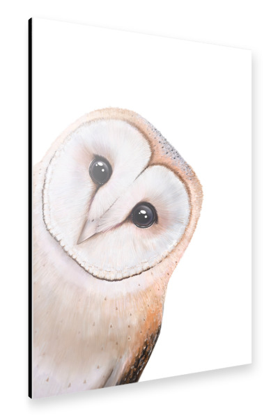 Alu-Dibond "Guckende Eule" 30x20 cm artboxONE