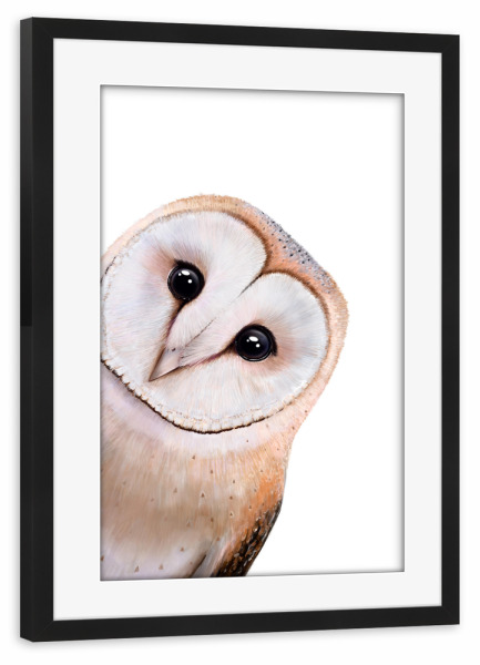 Poster mit Rahmen schwarz "Guckende Eule" artboxONE - Natur,Tiere,Weihnachten,Lustig