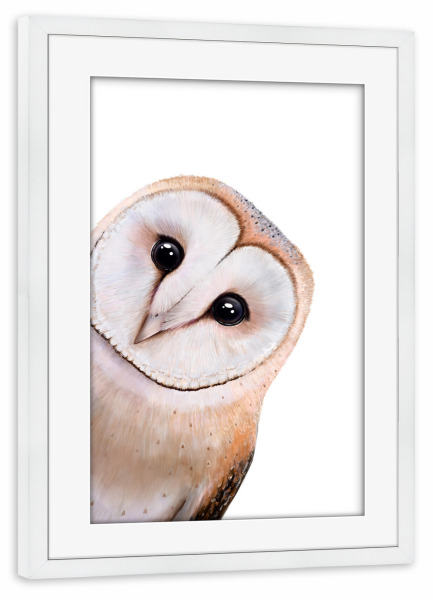 Poster mit Rahmen weiß "Guckende Eule" artboxONE - Natur,Tiere,Weihnachten,Lustig
