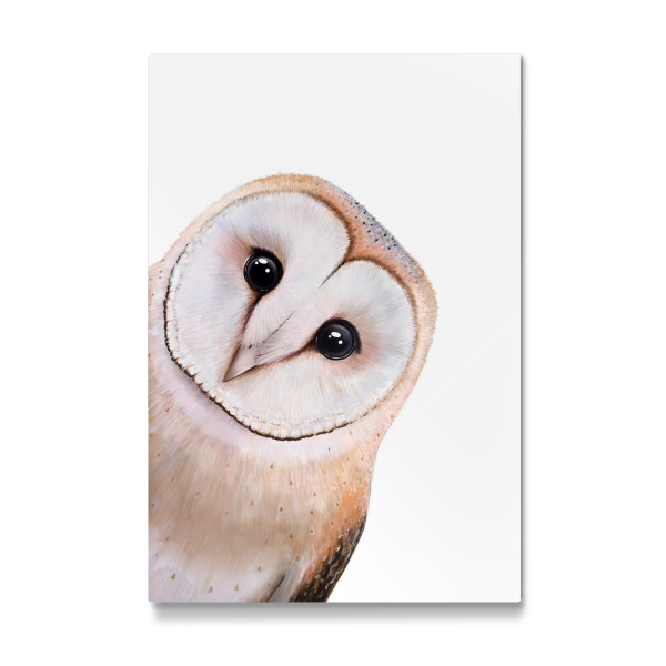 Galerie-Print "Guckende Eule" 30x20 cm artboxONE