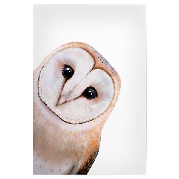 Poster 30x20 cm "Guckende Eule" artboxONE - Natur,Tiere,Weihnachten,Lustig - Eule,Eulen,Vogel,Vögel,Süß,Federn,Gucken,Schön,Muttertag,Geschenkidee