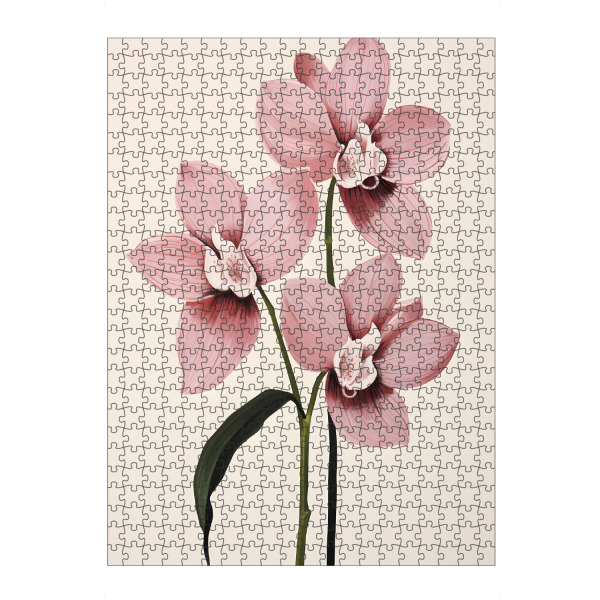 Puzzle Ravensburger "Orchideen Romantik" artboxONE - Natur,Floral,Abstrakt