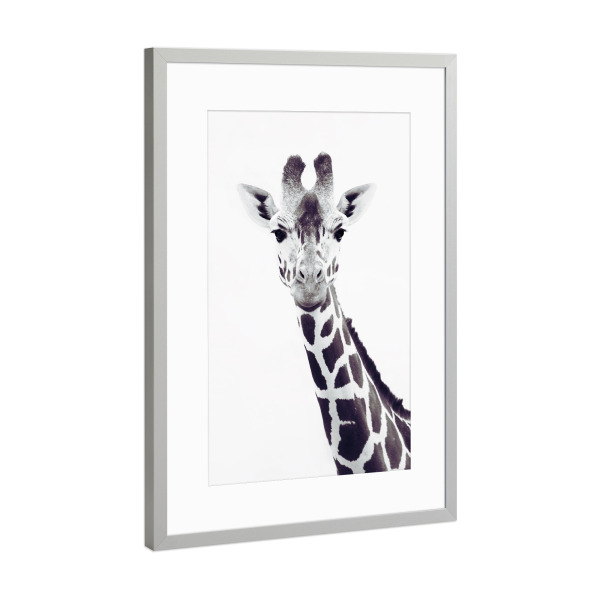 Poster mit Rahmen Silber "Porträt Giraffe" artboxONE - Für Kinder,Tiere,Schwarzweiß,Für Mama,Lustig