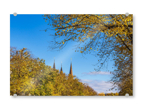 Acrylglasbild "Turmspitzen im Herbst" artboxONE - Städte,Natur,Reise,Architektur